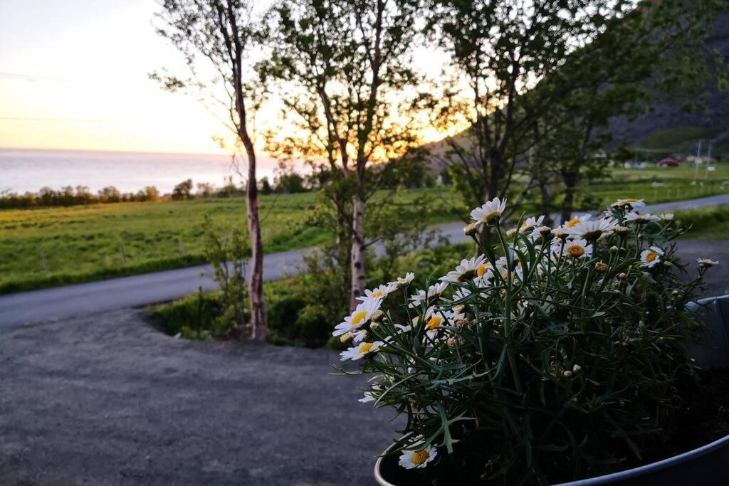 Brenna Cabin Villa Kültér fotó